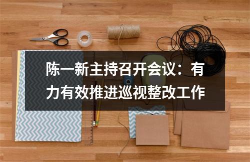 陈一新主持召开会议：有力有效推进巡视整改工作
