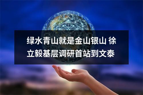 绿水青山就是金山银山 徐立毅基层调研首站到文泰