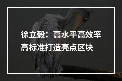 徐立毅：高水平高效率高标准打造亮点区块