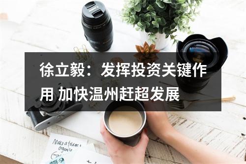 徐立毅：发挥投资关键作用 加快温州赶超发展