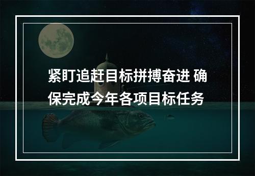 紧盯追赶目标拼搏奋进 确保完成今年各项目标任务