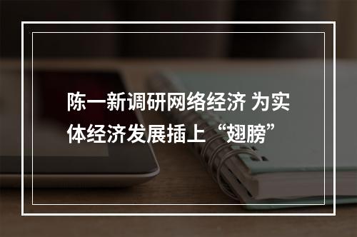 陈一新调研网络经济 为实体经济发展插上“翅膀”