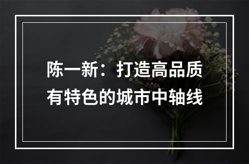 陈一新：打造高品质有特色的城市中轴线
