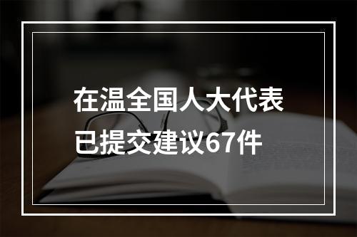 在温全国人大代表已提交建议67件