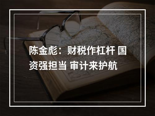 陈金彪：财税作杠杆 国资强担当 审计来护航