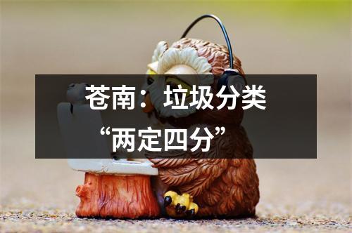 苍南：垃圾分类“两定四分”