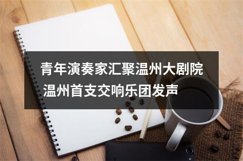 青年演奏家汇聚温州大剧院 温州首支交响乐团发声