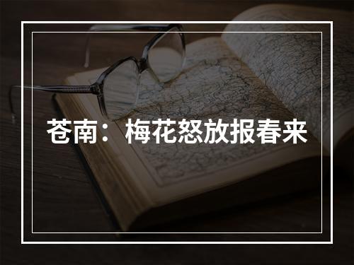 苍南：梅花怒放报春来
