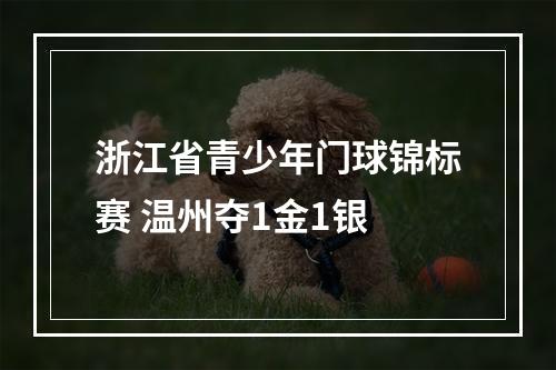 浙江省青少年门球锦标赛 温州夺1金1银
