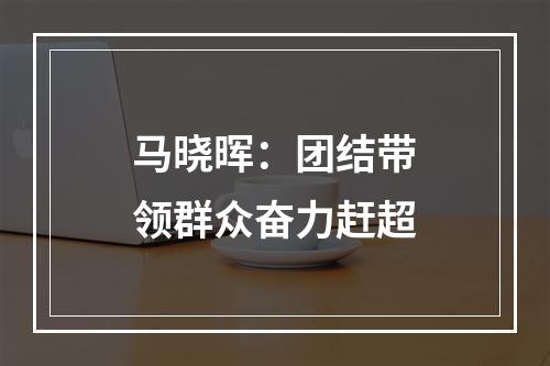 马晓晖：团结带领群众奋力赶超
