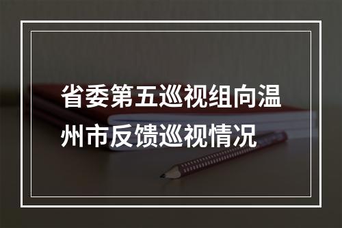 省委第五巡视组向温州市反馈巡视情况
