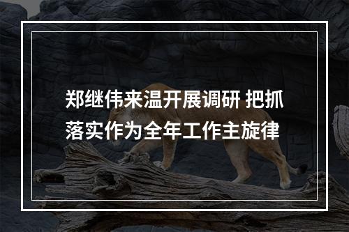 郑继伟来温开展调研 把抓落实作为全年工作主旋律