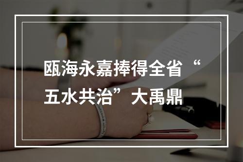 瓯海永嘉捧得全省“五水共治”大禹鼎