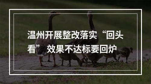 温州开展整改落实“回头看” 效果不达标要回炉