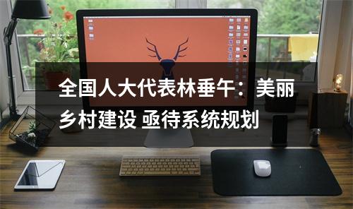 全国人大代表林垂午：美丽乡村建设 亟待系统规划