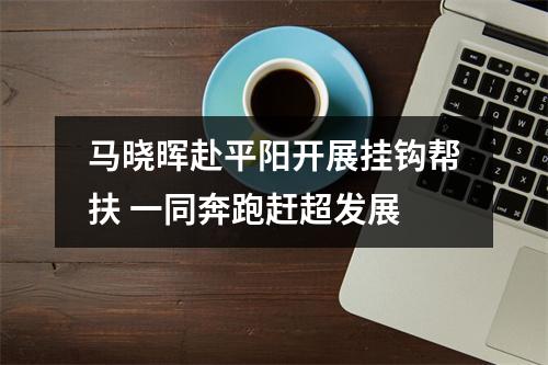 马晓晖赴平阳开展挂钩帮扶 一同奔跑赶超发展