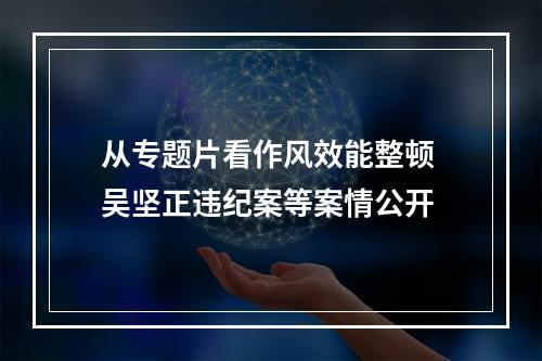 从专题片看作风效能整顿 吴坚正违纪案等案情公开