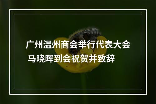 广州温州商会举行代表大会 马晓晖到会祝贺并致辞
