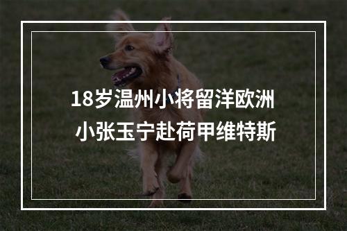18岁温州小将留洋欧洲 小张玉宁赴荷甲维特斯
