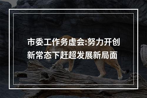 市委工作务虚会:努力开创新常态下赶超发展新局面