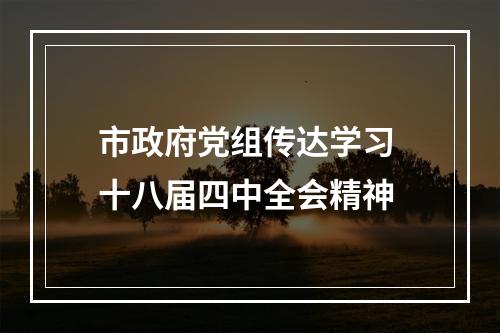 市政府党组传达学习 十八届四中全会精神