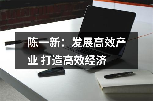 陈一新：发展高效产业 打造高效经济