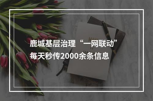 鹿城基层治理“一网联动” 每天秒传2000余条信息