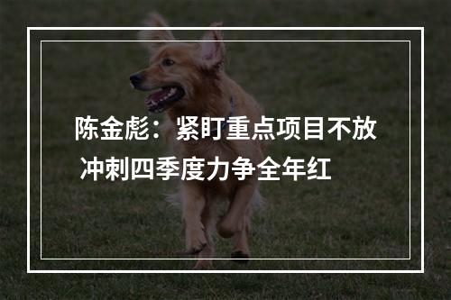 陈金彪：紧盯重点项目不放 冲刺四季度力争全年红