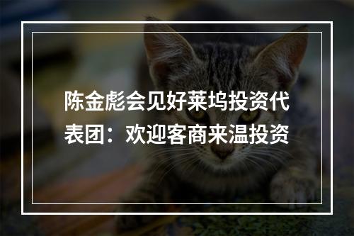 陈金彪会见好莱坞投资代表团：欢迎客商来温投资