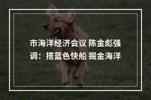 市海洋经济会议 陈金彪强调：搭蓝色快船 掘金海洋