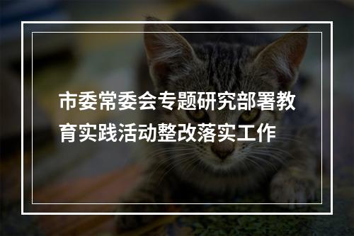 市委常委会专题研究部署教育实践活动整改落实工作