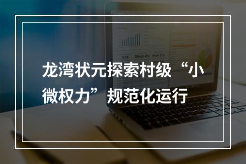 龙湾状元探索村级“小微权力”规范化运行