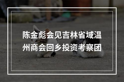 陈金彪会见吉林省域温州商会回乡投资考察团
