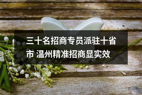 三十名招商专员派驻十省市 温州精准招商显实效