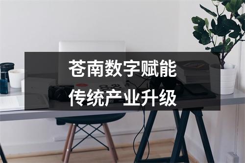 苍南数字赋能传统产业升级