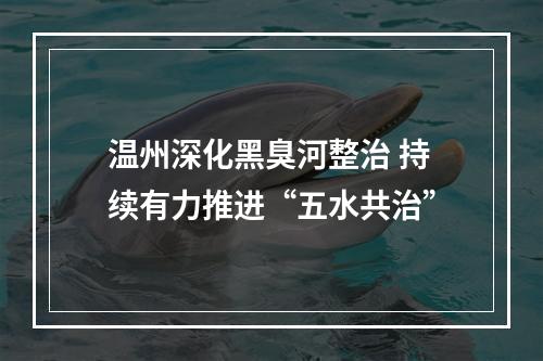 温州深化黑臭河整治 持续有力推进“五水共治”