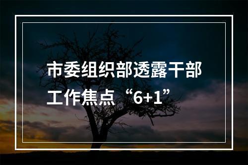 市委组织部透露干部工作焦点“6+1”