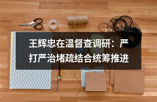 王辉忠在温督查调研：严打严治堵疏结合统筹推进