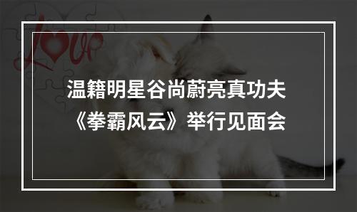 温籍明星谷尚蔚亮真功夫 《拳霸风云》举行见面会
