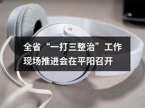 全省“一打三整治”工作现场推进会在平阳召开