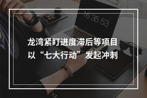 龙湾紧盯进度滞后等项目 以“七大行动”发起冲刺