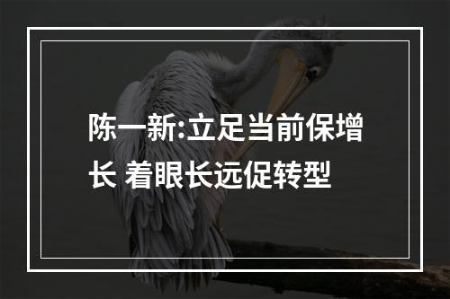 陈一新:立足当前保增长 着眼长远促转型