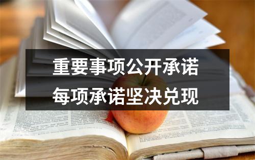 重要事项公开承诺 每项承诺坚决兑现