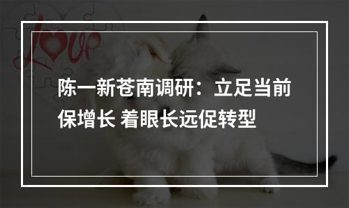 陈一新苍南调研：立足当前保增长 着眼长远促转型