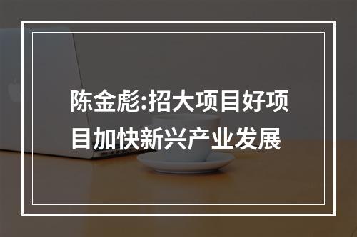 陈金彪:招大项目好项目加快新兴产业发展
