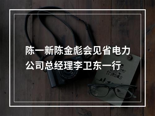 陈一新陈金彪会见省电力公司总经理李卫东一行