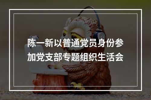 陈一新以普通党员身份参加党支部专题组织生活会