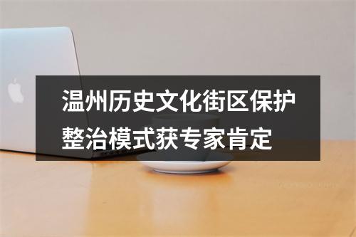 温州历史文化街区保护整治模式获专家肯定