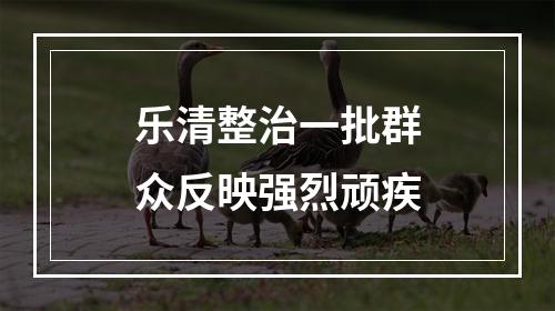 乐清整治一批群众反映强烈顽疾