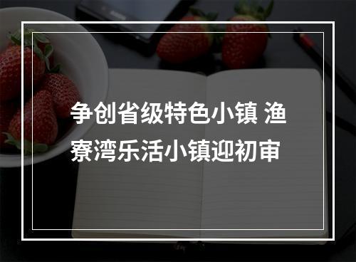 争创省级特色小镇 渔寮湾乐活小镇迎初审
